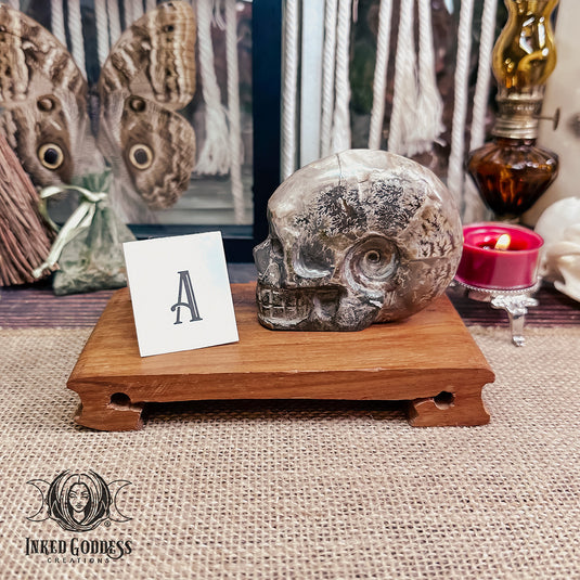 Ammonite Carved Skull for Life Path Activation