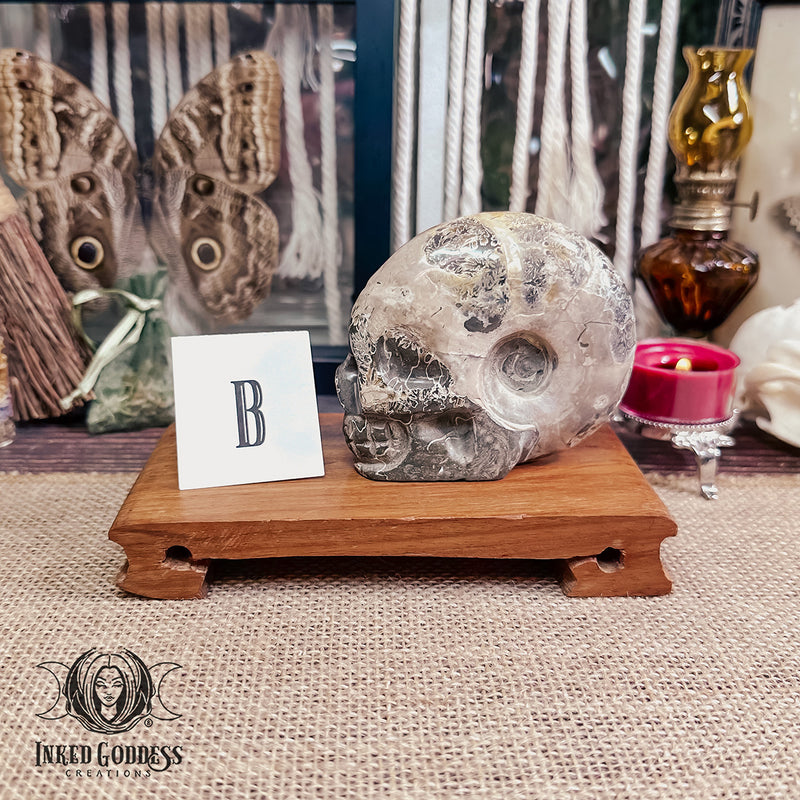 Load image into Gallery viewer, Ammonite Carved Skull for Life Path Activation
