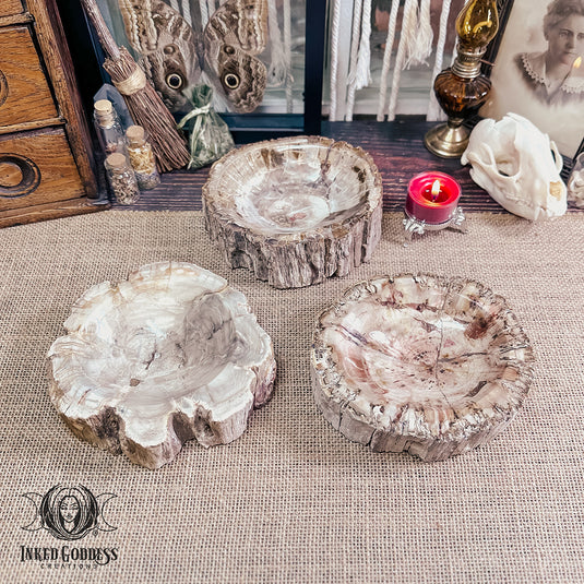 Petrified Wood Offering Bowl for Ancestor Magick